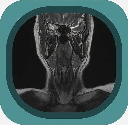 mri neck anatomy icon